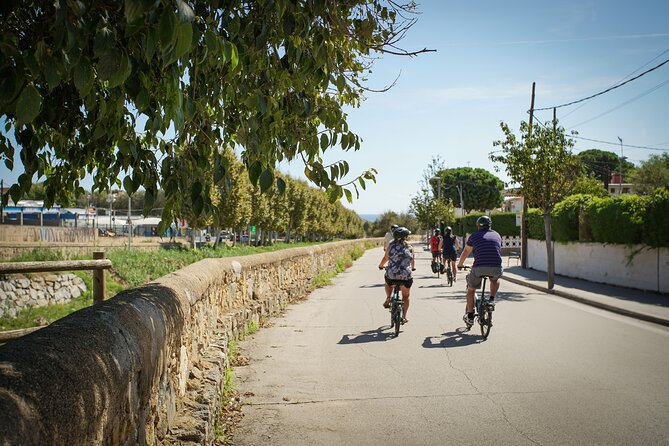 Ebike Tour, Winery, Wine Tasting & Sailing Experience(car option) - What the $108 price really includes