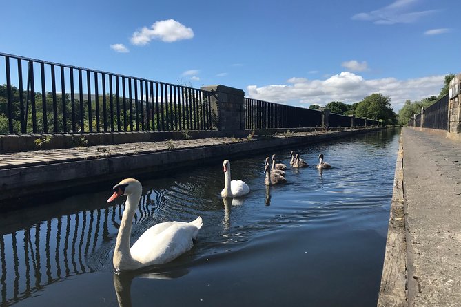 Edinburgh City Bike Tour - Choice of E-Bike or Manual - Calton Hill views without climbing the hill