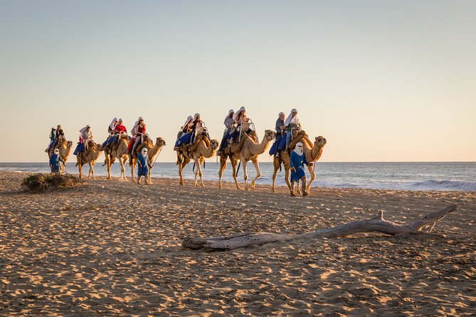 Electric Bike and Beach Camel Ride with Mexican Buffet Lunch - From Cabo hotel pickup to Tierra Sagrada