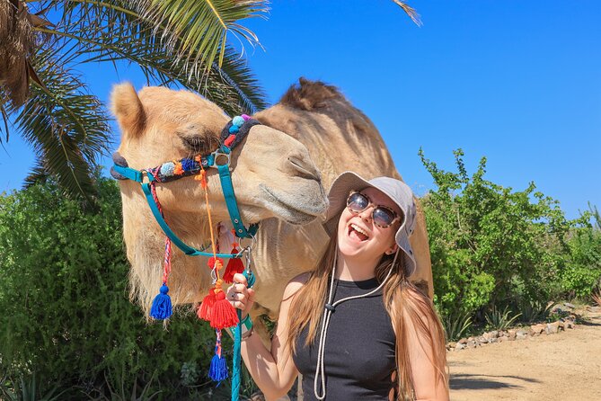 Electric Bike and Beach Camel Ride with Mexican Buffet Lunch - Margarita making, buffet lunch, and tequila tasting
