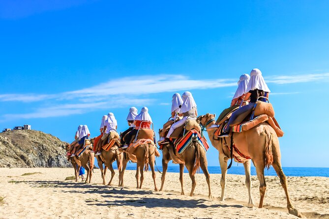 Electric Bike and Beach Camel Ride with Mexican Buffet Lunch - What the $129 price really covers