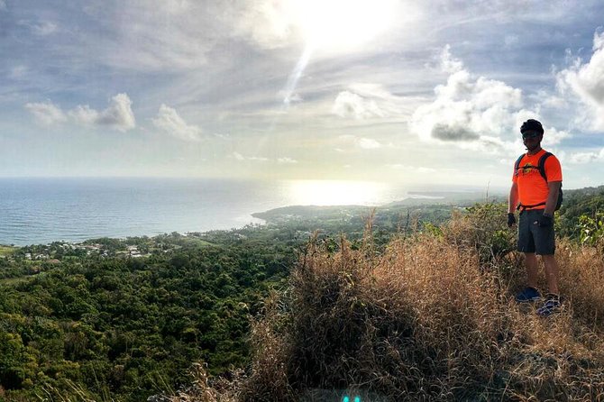 Electric Bike Bajan Sightseeing Experience (Transport Included) - The farm-to-table café and herb garden