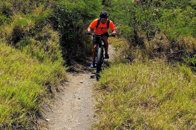 Electric Bike Bajan Sightseeing Experience (Transport Included) - Folklore, cliffs, and the rougher side of the island