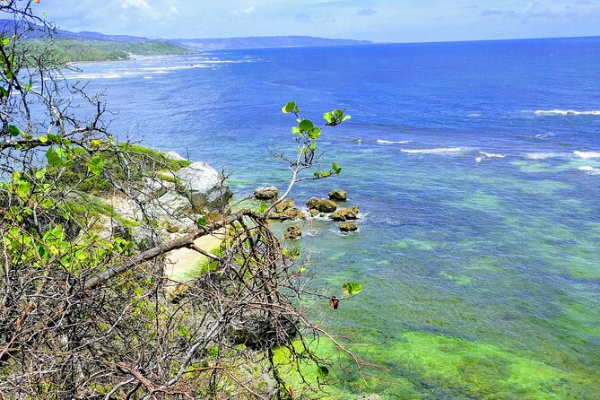 Electric Bike Bajan Sightseeing Experience (Transport Included) - Guides, road safety, and the feel of the ride
