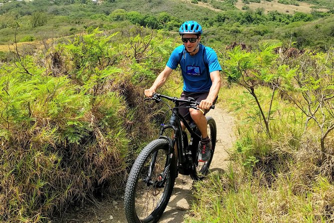 Electric Bike Bajan Sightseeing Experience (Transport Included) - Pickup, timing, and cruise-port appeal