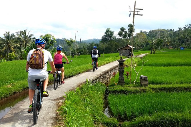 Electric Cycling Tour of Ubud with Free Hotel Transfer and Lunch - A practical way to see Ubud beyond the center