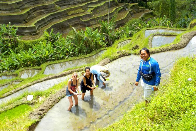 Electric Cycling Tour of Ubud with Free Hotel Transfer and Lunch - Tegalalang Rice Terrace, the photo stop