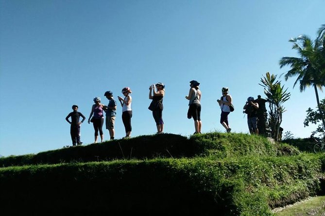 Electric Cycling Tour of Ubud with Free Hotel Transfer and Lunch - Jungle swing and plantation stop
