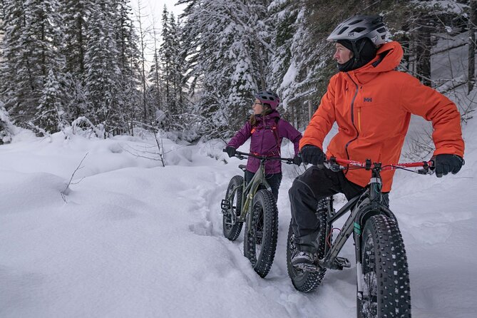 Electric Fat Biking Adventure in Banff | Small Group Adventure - Fenland Trail, a quiet forest option