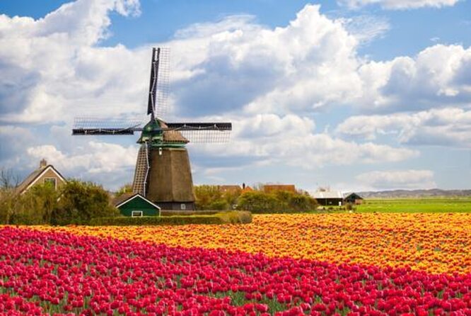 Escape Amsterdam: E-Bike to Zaanse Schans Windmills & Zaandam - Key points at a glance