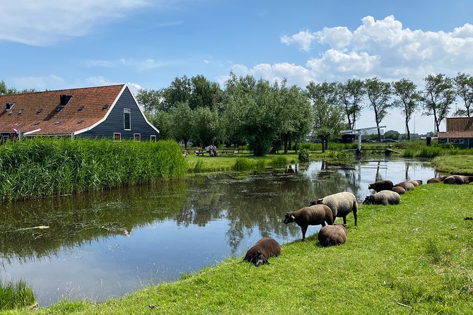 Escape Amsterdam: E-Bike to Zaanse Schans Windmills & Zaandam - Why this Amsterdam e-bike tour is different