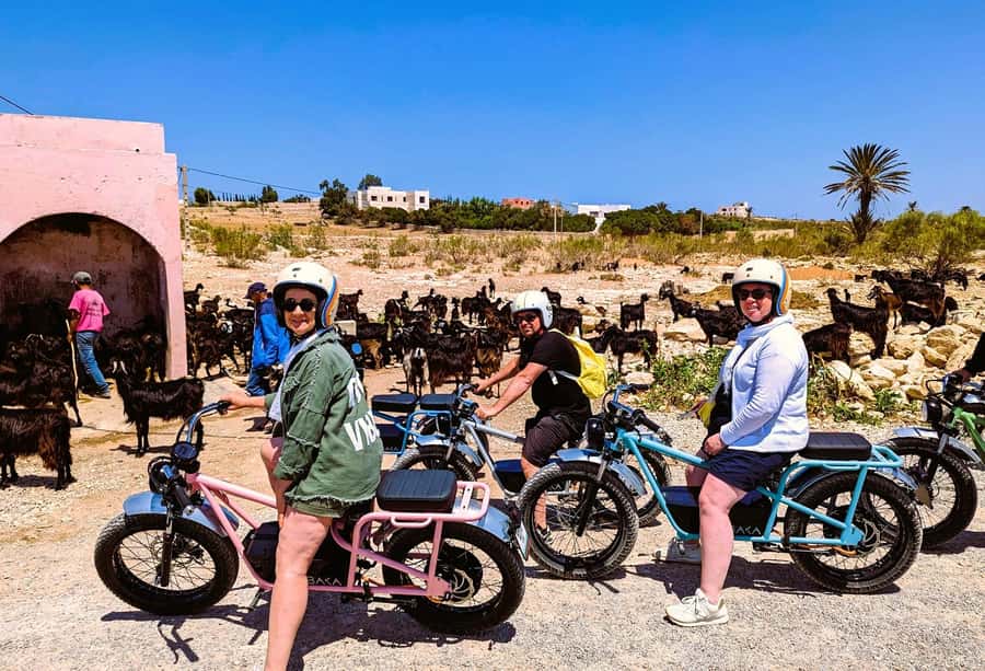 Essaouira: Area Highlights Guided E-Bike Tour - Ghazoua and the story of argan trees