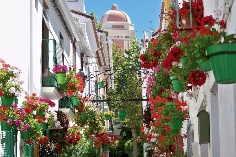Estepona best kept secrets: City bike guided tour - Who will enjoy this ride most