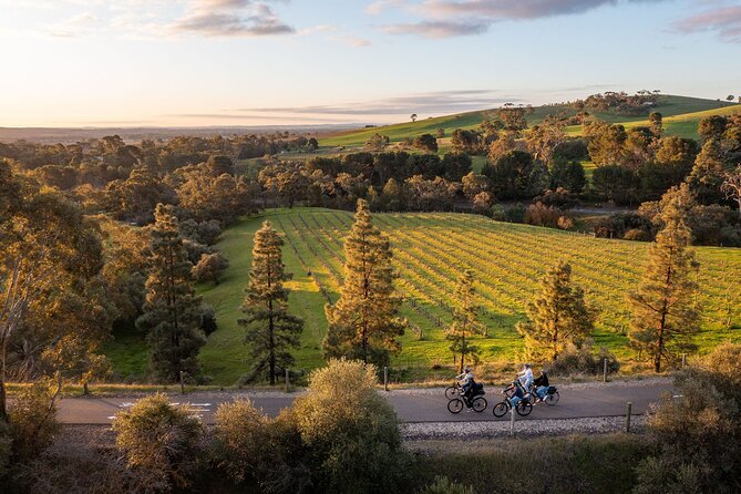 Experience Barossa Valley by E-bike - Six wines at Artisans of Barossa