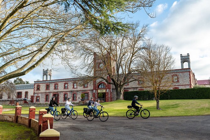 Experience Barossa Valley by E-bike - A proper cheese tasting at Barossa Valley Cheese Company