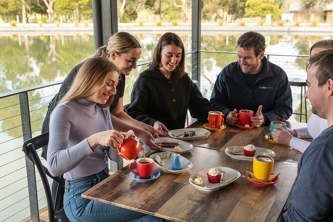 Experience Barossa Valley by E-bike - Ending with a private Yalumba tasting and picnic