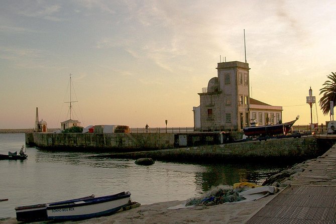 Experience Porto by Bike: 3-Hour Private Tour - Why this route shows you more than central Porto
