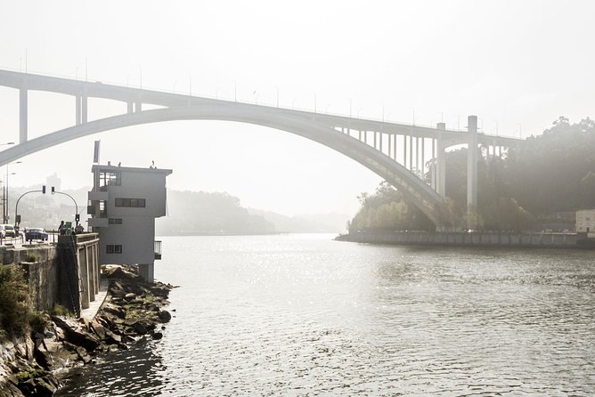 Experience Porto by Bike: 3-Hour Private Tour - City Park brings a quieter ride home
