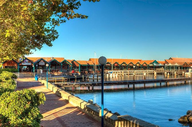 Experience Rottnest with Ferry & Bike Hire - Who will enjoy this trip most?