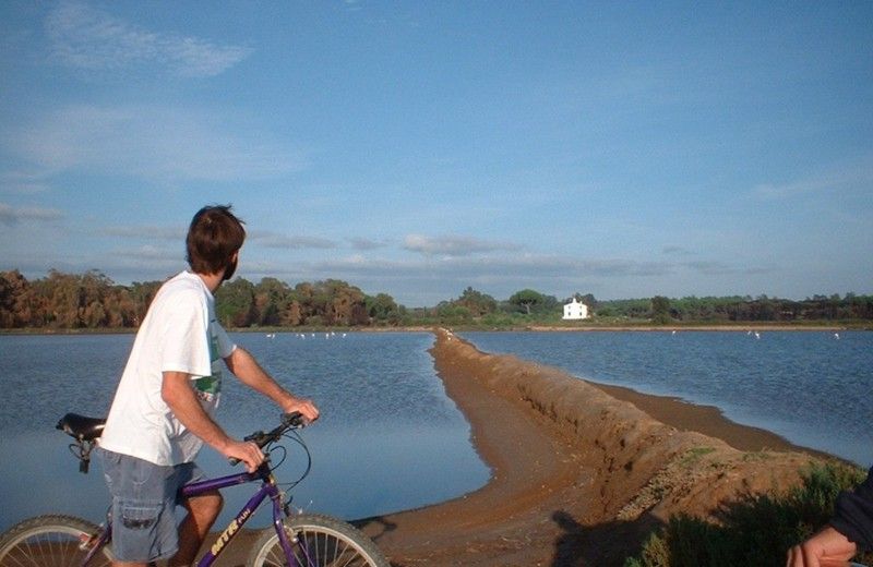 Faro Bike Tour through the Beautiful Ria Formosa - Key points to know before you book