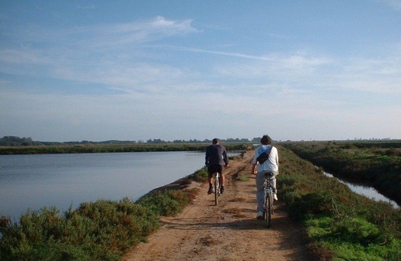 Faro Bike Tour through the Beautiful Ria Formosa - Starting beside Faro’s marina