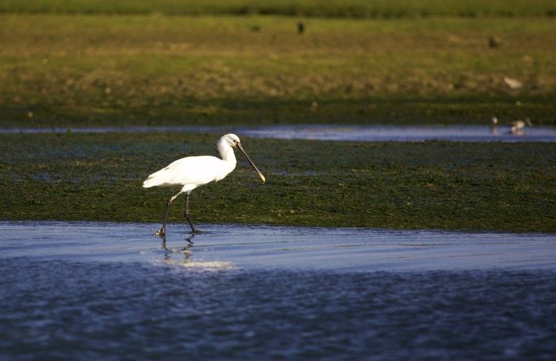 Faro Bike Tour through the Beautiful Ria Formosa - How difficult is the cycling?