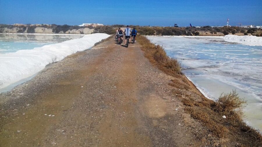 Faro Bike Tour through the Beautiful Ria Formosa - Is $58 a fair price?