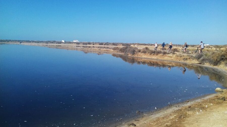 Faro Bike Tour through the Beautiful Ria Formosa - The guides make the difference