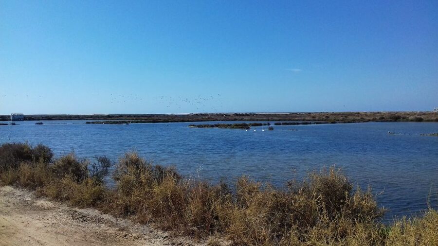 Faro Bike Tour through the Beautiful Ria Formosa - Riding out toward the saltpans