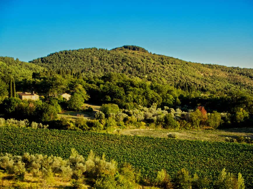 Fiesole E-Bike Tour with Olive Oil Tasting or Pool & Chill - Is $57 a good price for five hours?