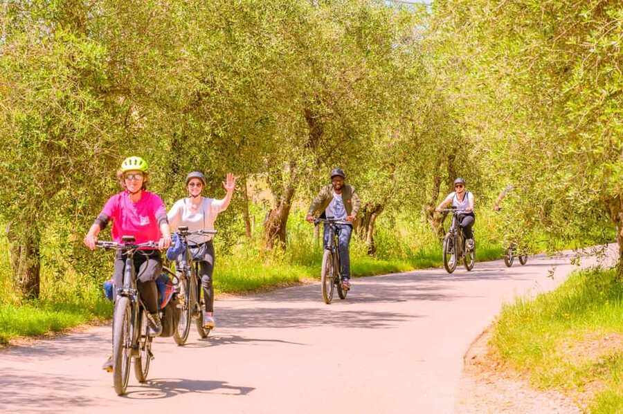 Florence: Chianti E-Bike Tour with Lunch & Two Wine Tastings - Should you book it?