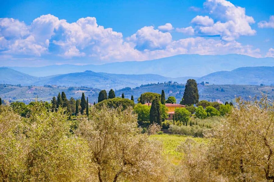 Florence: Chianti E-Bike Tour with Lunch & Two Wine Tastings - What the e-bike can and cannot do