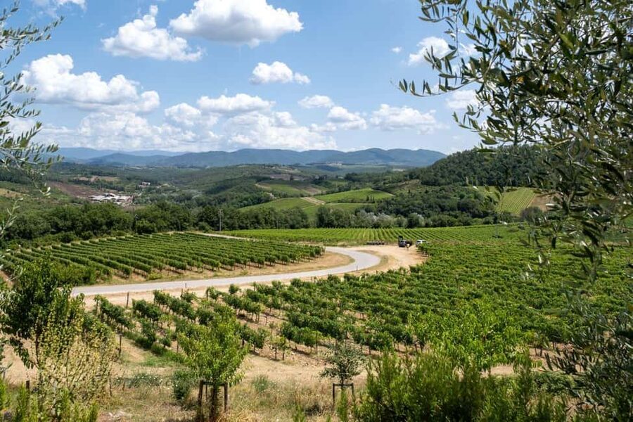 Florence: Chianti E-Bike Tour with Wine Tasting and Lunch - The ride back to Florence