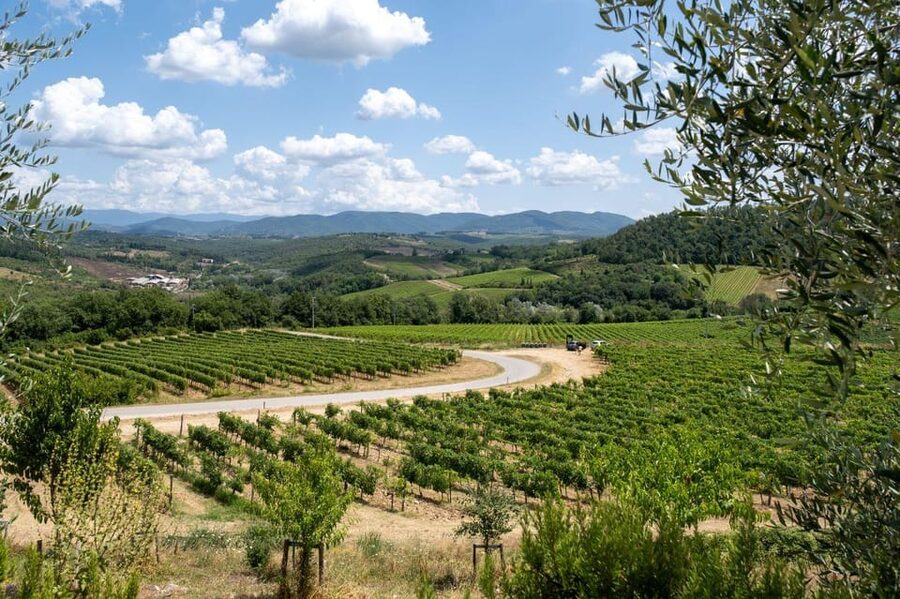 Florence: Chianti E-Bike Tour with Wine Tasting and Lunch - What the $117 price really covers