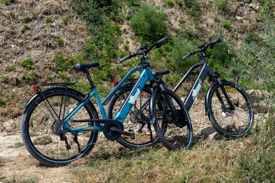 Florence: Chianti E-Bike Tour with Wine Tasting and Lunch - Who should book this ride?
