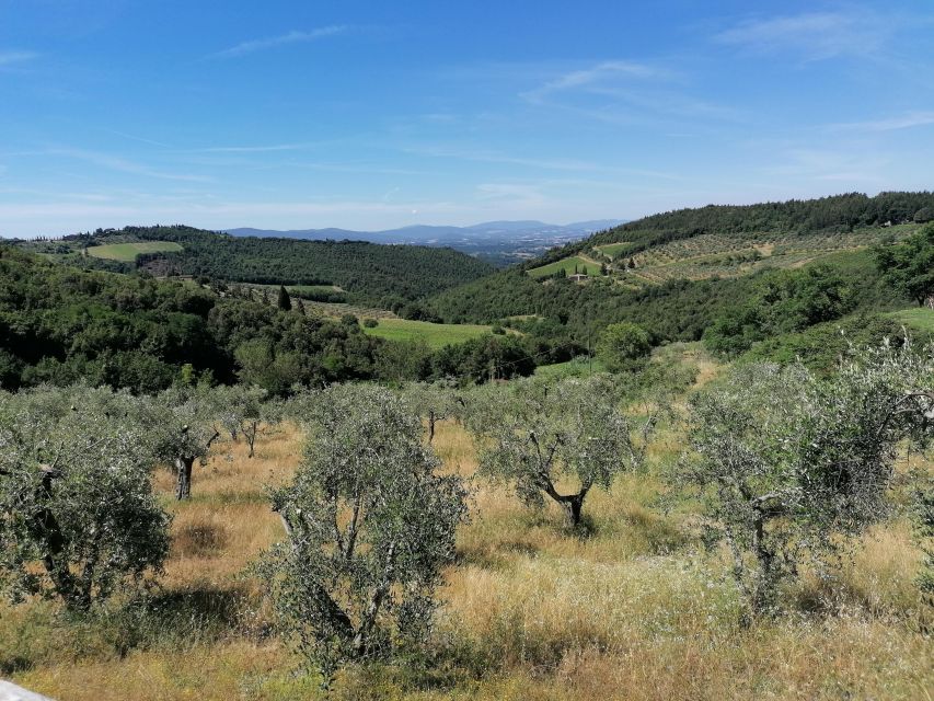 Florence: E-Bike Tour with Olive Oil in the Tuscan Hills - Who should book this tour