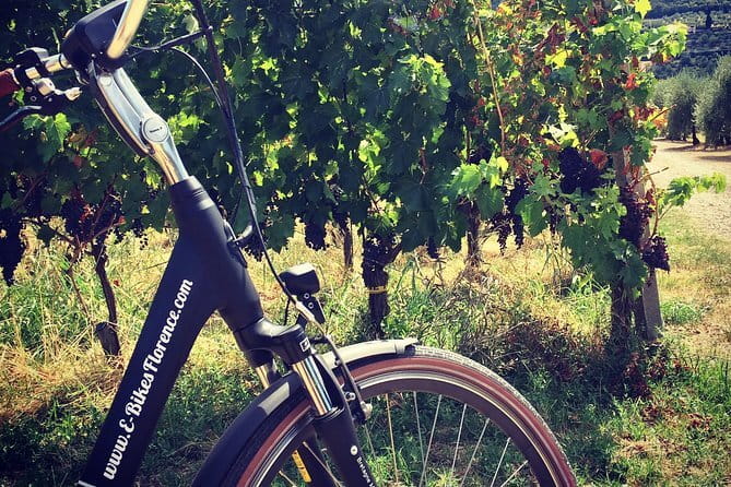 Florence Hills E-Bike Tour with Gelato Tasting - Arcetri brings Galileo and science into the ride