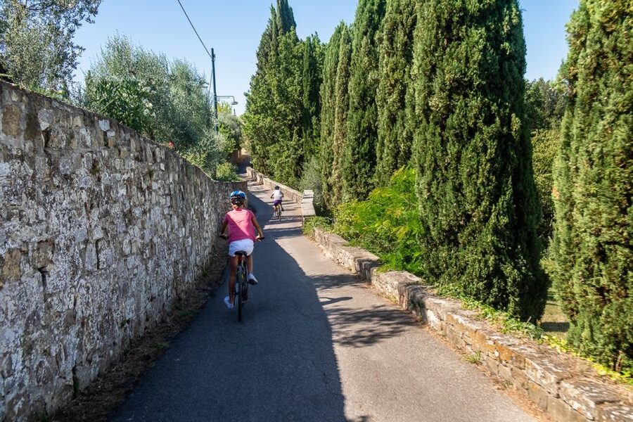 Florence: Tuscany Bike Tour with Wine & Olive Oil - The countryside beyond Florence