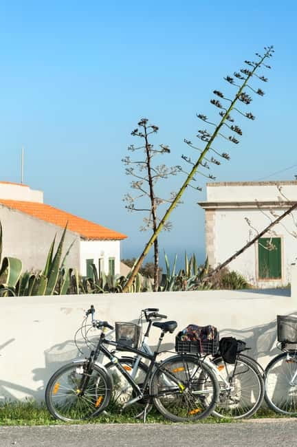 Formentera: discover our fast ferry + bike package - Leaving Ibiza on a fast ferry