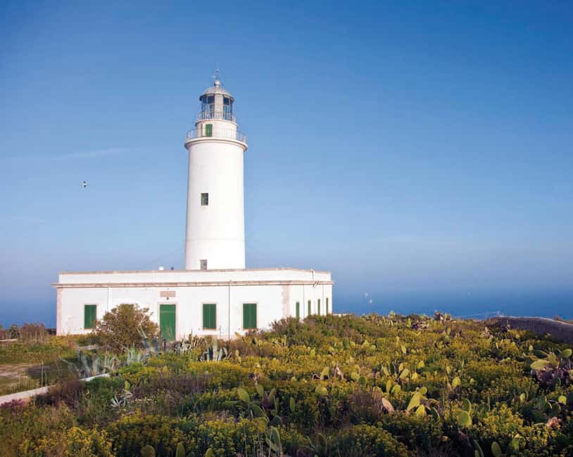Formentera: discover our fast ferry + electric bike package. - What the electric bike adds to the day