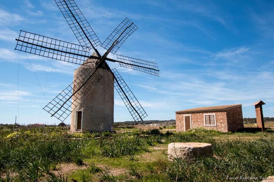 Formentera: discover our fast ferry + electric bike package. - Should you book this Formentera ferry and bike package?