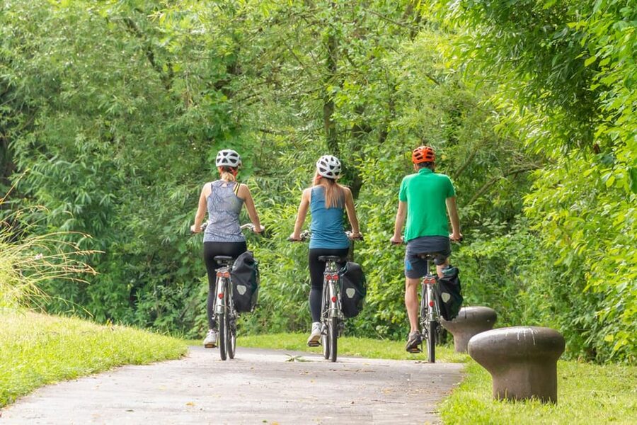 Frankfurt: Full-Day Bicycle or E-Bike Rental - What the $22 Price Really Buys You