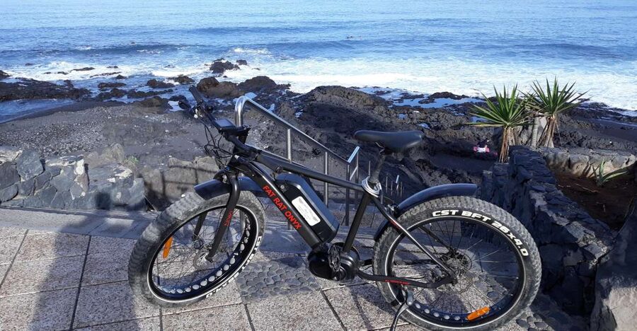 Frankfurt: Unique E-Bikes Tours - Key points to know before you book