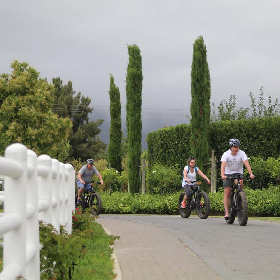 Franschhoek: E-Bike Guided Winery Tour - The first 25 minutes reveal Franschhoek at an easy pace