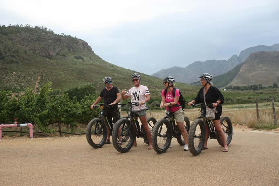 Franschhoek: E-Bike Guided Winery Tour - The second 45-minute winery visit is the social heart of the tour