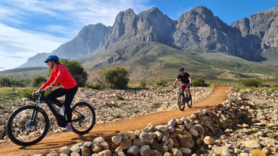 Franschhoek: E-bike Tour with Wine Tasting and Lunch - Lunch and wine tasting at the finish