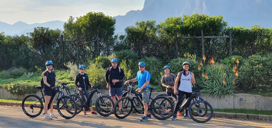 Franschhoek: E-bike Tour with Wine Tasting and Lunch - Who should book this ride