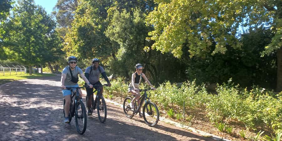 Franschhoek E-Bike & Wine Tour - Key points at a glance