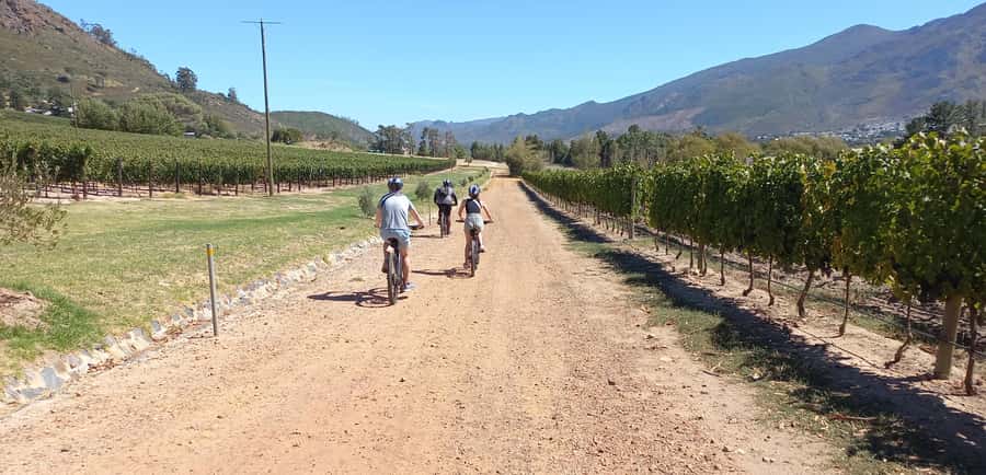 Franschhoek E-Bike & Wine Tour - Riding through the Franschhoek Wine Valley