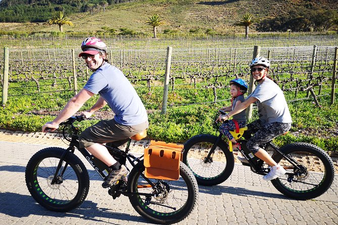 Franschhoek E-Bike Wine Tour (Half Day) - Riding through Franschhoek without rushing